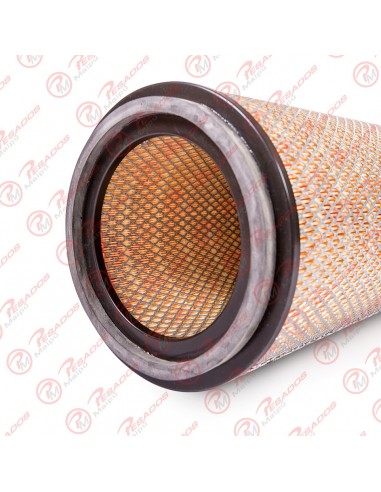 Filtro Aire Primario (ca546) Ford/vw...