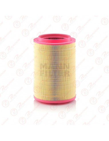 Filtro Aire Primario (ca10320) Iveco...