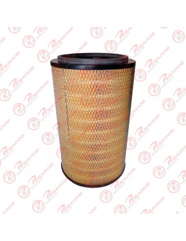 Filtro Aire Primario (ca4691) Ford...