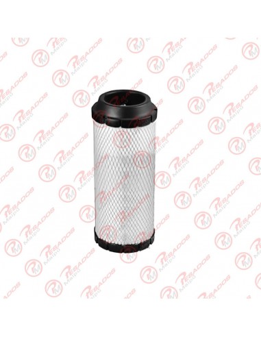 Filtro Aire Primario (ca9003) S10/...